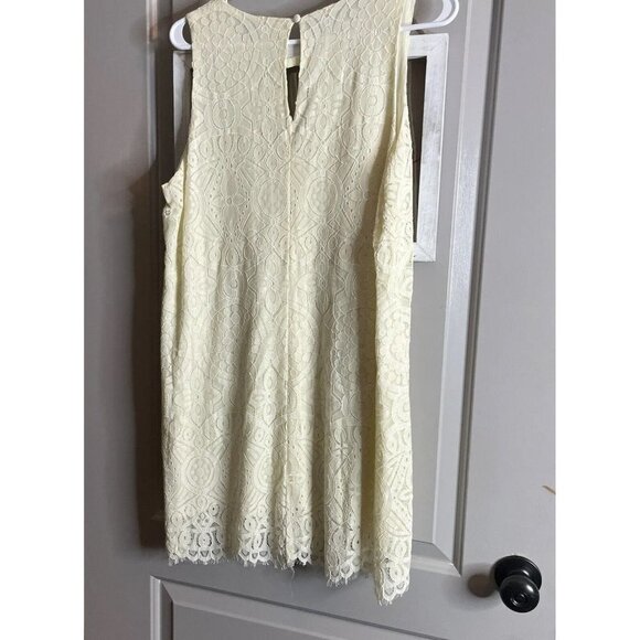 NWT Altar’d State Size M Cream Lace Dress Sleeveless Short Shift Fully Lined - Picture 8 of 10